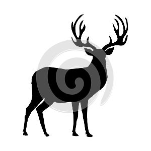 Black silhouette of reindeer with big horns on white background