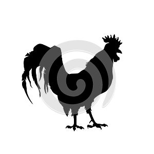 Black silhouette of rooster. Isolated cock profile. Icon of farm bird. Market logo