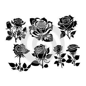Black Silhouette Of A Rose Flower Vector Illustrations.