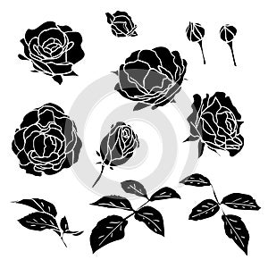 Black silhouette roses with leaves and buds set. Simple flat delicate garden flowers for logo or greeting cards and