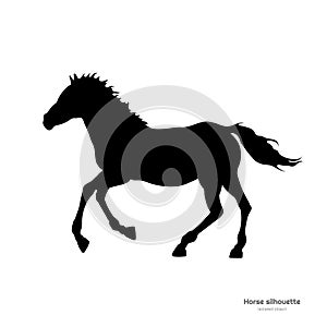 Black silhouette of running foal. Isolated detailed drawing of horse on white background. Side view