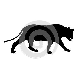 black silhouette of running lioness on white background of vector illustration