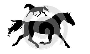 Black silhouette of a running trotter isolated