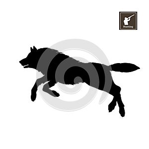 Black silhouette of running wolf on white background. Forest animals. Detailed isolated image