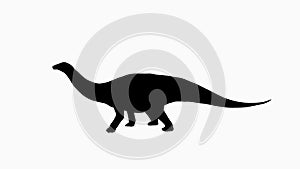 Black Silhouette of a Sauropod Dinosaur on White Background photo
