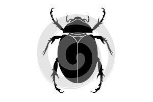 black silhouette of a scarab beetle, vector insect isolated on a white background
