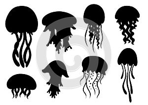 Black silhouette. Set of Sea jellyfish. Tropical underwater animal. Medusa aquatic organism, cartoon style design. Flat 