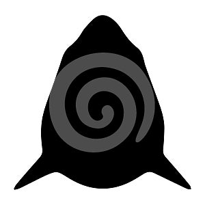 Black silhouette shark