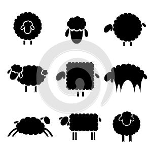 Black silhouette of sheeps
