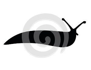 Black silhouette slug cartoon animal design flat vector illustration isolated on white background