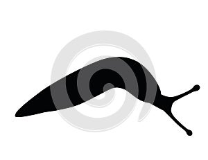 Black silhouette slug cartoon animal design flat vector illustration isolated on white background