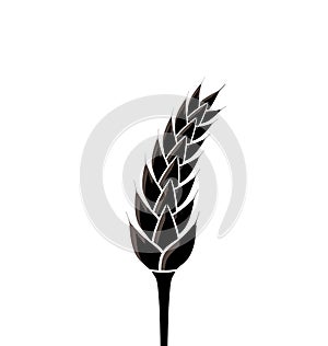 Black silhouette of spikelet of wheat isolated on white