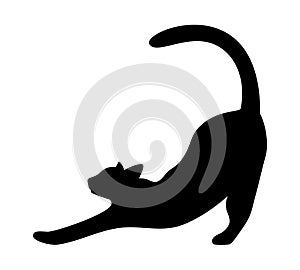 Black silhouette of a stretching cat isolated on a white background