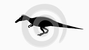 Black Silhouette of Theropod Dinosaur on White Background photo