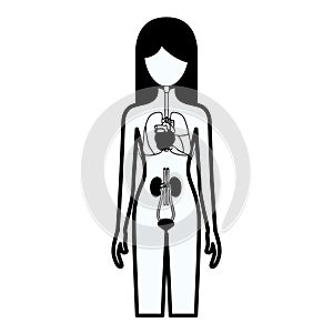 Black silhouette thick contour of female person with internal organs system of human body