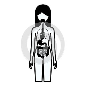 Black silhouette thick contour of female person with internal organs system of human body