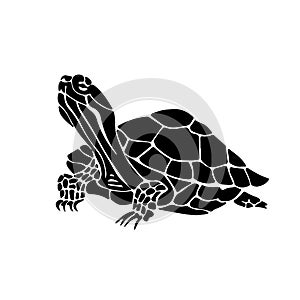 Black silhouette of tortoise. Illustration of turtle.