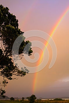 Black silhouette of tree with double rainbow during sunset with gloomy blurred red shimmering sky over the ocean