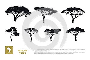 Black silhouettes of african trees on white background. Isolated image of savannah nature. Forest landscape of Africa