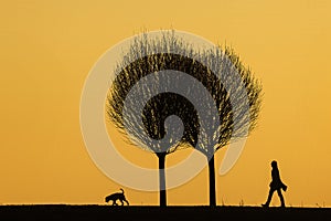 black silhouettes against the colourful background of the setting sun with a dog with a mistress