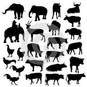 Black silhouettes of elephants, cows, bulls