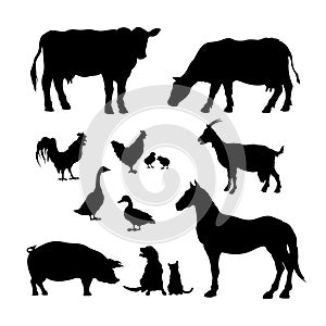 Black silhouettes of farm animals. Icons set of domestic cattle. Isolated image of rural livestock and poultry