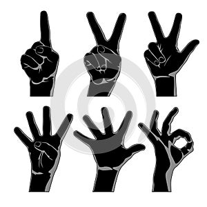 Black silhouettes of hands showing one, two, three, four and five fingers and folded ringlet isolated on white photo