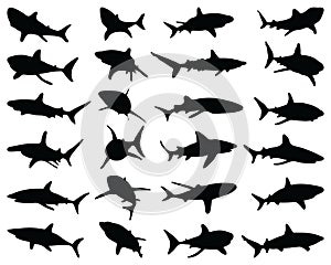 Black silhouettes of sharks