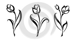 Black silhouettes of tulip flowers. Vector illustration.