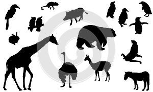 Black silhouettes of wild animals and birds. Bear, penguins, giraffe, ostrich and other animals isolated on background. Vector