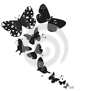 Black simple floral ornamental greeting card with butterfly vector