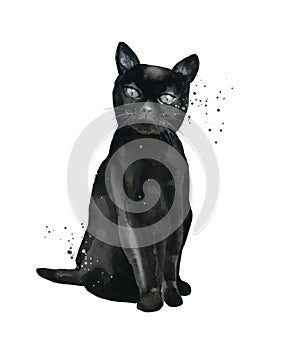 Černý kotě. zvíře. akvarel ilustrace izolované na bílém pozadí 