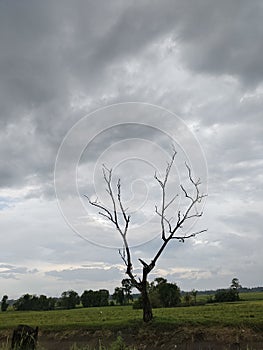 Black sky, cloudy in rainy day