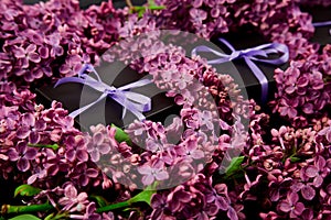 Black small gift boxes wrapped purple ribbon with natural lilac