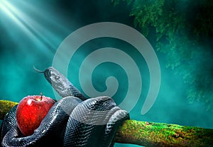 Black snake with an apple fruit in a branch of a tree