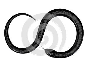 Negro serpiente 