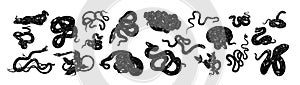 Black snake silhouettes set. Vipers, serpents, monochrome venom symbols. Coiled cobra, curled boa, twisted anaconda