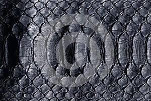 Black snake skin pattern texture. Black reptile. Python leather background.