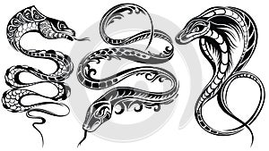 Black snakes sign on white background. Snake tattoo photo