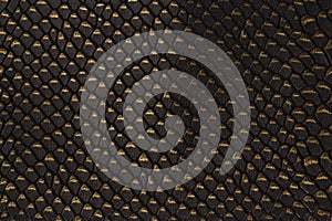 Black snakeskin pattern texture background