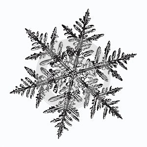 Black snowflake on white background