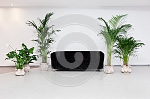 Black sofa in modern minimalism interior