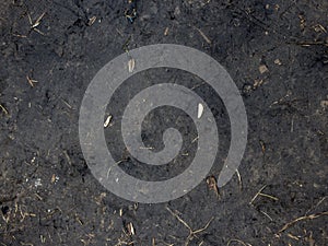 Black Soil Dirt Background Texture, Natural Pattern. Ground, nature.