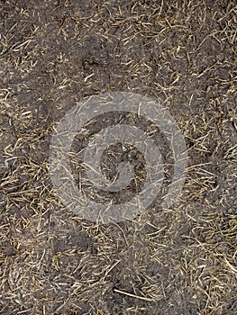 Black Soil with dried grass backgSeamless Texture of the Ground with Dry Herbs.