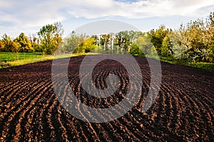 Black soil plowed field. Earth texture