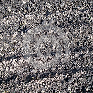 Black soil texture background