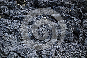 Black soil texture background. Close-up of black soil