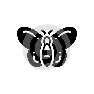 Black solid icon for Butterfly, dragonfly and freedom