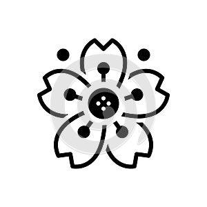 Black solid icon for Cherryblossom, cherry and blossom