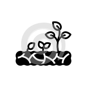 Black solid icon for Growing, increasingly and sprout